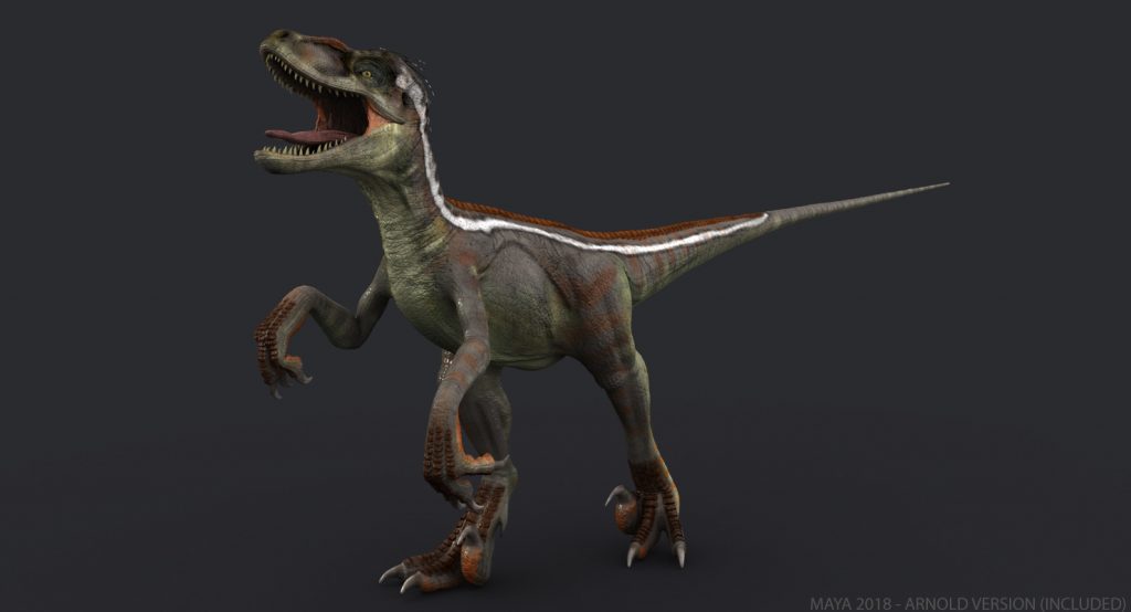 Buy Velociraptor (rigged) Fully Rigged 3d Models Online