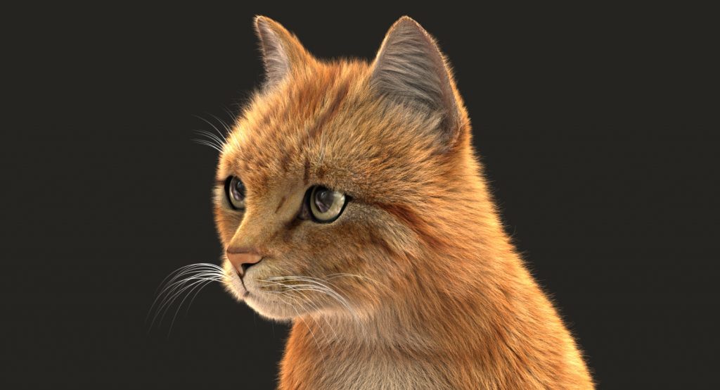 Buy Cat (orange Tabby) (fur) (animated) 3d Models Online