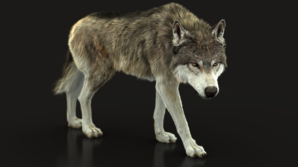 wolf 3d online