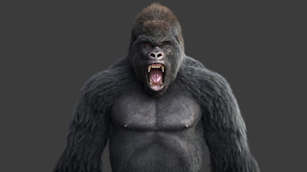 Buy Gorilla (RIG) (XGEN-CORE) Online | Massimorighi.com