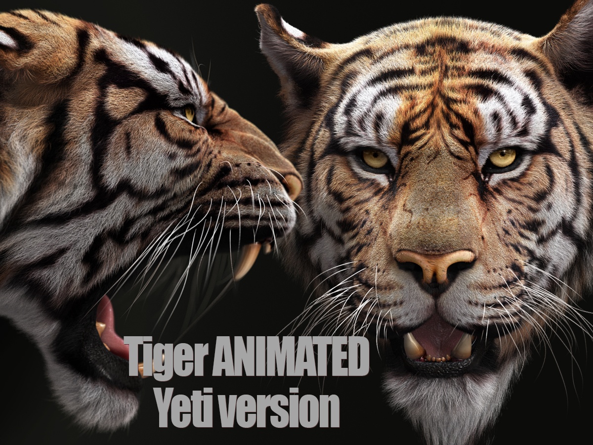 Bengal Tiger ANIMATED Yeti 3D model - TurboSquid 2124743